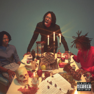 丰满多毛旳大荫道视频
