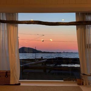 丰满多毛旳大荫道视频
