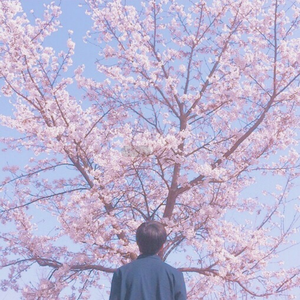 丰满多毛旳大荫道视频
