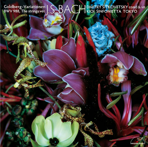 丰满多毛旳大荫道视频
